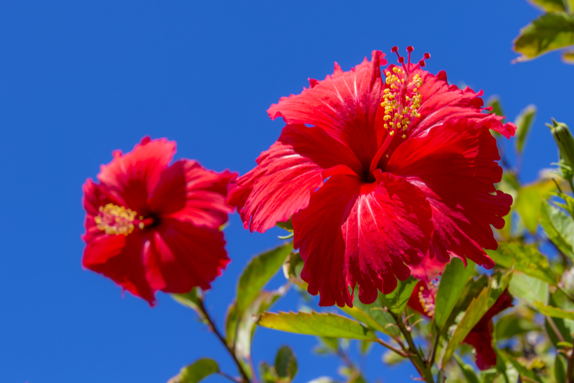 夕暮れの海とリラックス